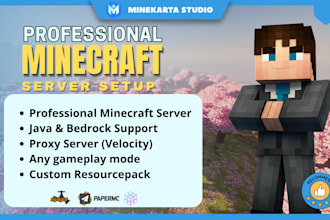 setup advanced minecraft server professionally