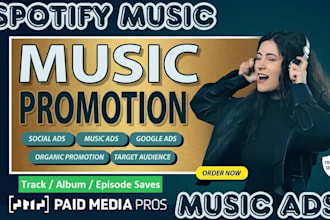 do spotify music promotion and ai music promotion