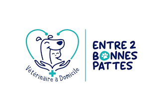 design modern pet logo for vet, grooming and animal business