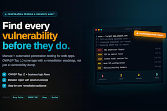 perform web application security audit and penetration testing