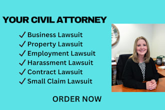 assist with pro se litigation and legal document drafting