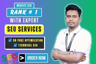 fix on page and website SEO optimization for google
