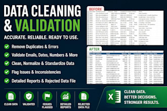 clean, validate, and organize messy excel or CSV datasets