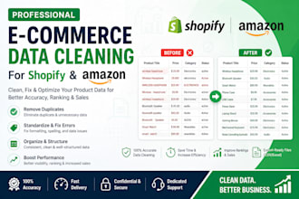 get professional e commerce data cleaning for shopify amazon