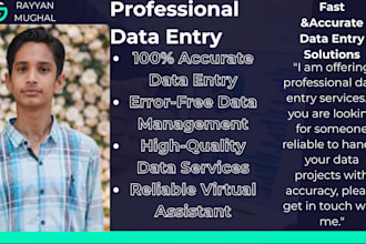 do professional data entry and fast typing with 100 percent accuracy