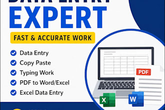 do fast data entry, copy paste, typing and PDF to word work