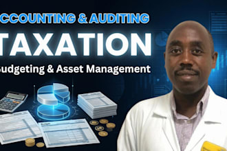 do accounting auditing taxation budgeting and asset management analysis and ppt