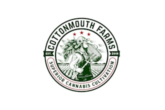 make a modern cannabis, cbd, hemp, and weed logo branding