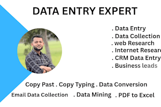 do data entry, data scraping and crm data entry copy paste