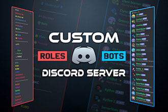 create and setup a professional discord server