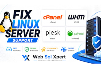 fix linux server, urgent support cpanel plesk aapanel php dns nginx mysql repair