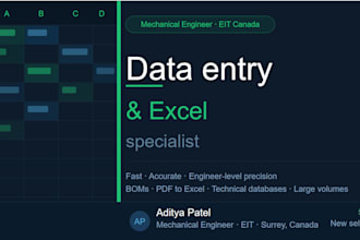 do fast, accurate data entry, excel spreadsheets, bom, and PDF conversion