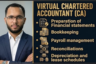 provide virtual accounting services like payroll and bookkeeping