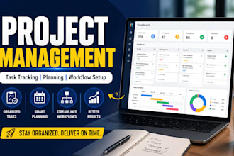 be your project manager, virtual assistant and manage project professionally