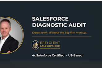 audit your salesforce org and deliver a written diagnostic report
