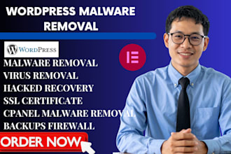 fix hacked wordpress website, german wordpress malware removal