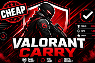 provide cheap professional valorant rank carry and duo services
