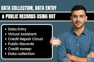 do public records and data entry  creation with bot