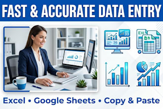 do fast and accurante data entry for your business
