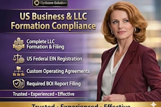do professional llc formation, apply ein, operating agreements for US businesses