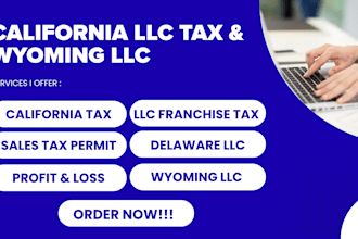 register wyoming llc, delaware llc, handle US business formation, california tax
