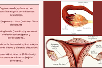 do professional medical infographics and health posters
