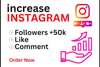 buy 3,000 instagram followers fast