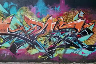 create graffiti pop art canvas designs and murals