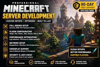 develop a professional minecraft server