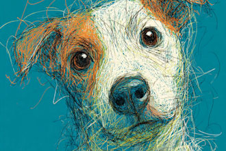 draw digital scribble pet portrait