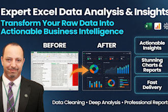 do expert data cleaning, visualization, strategic business analysis