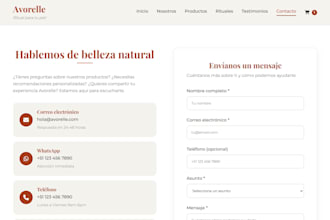 professional website development services