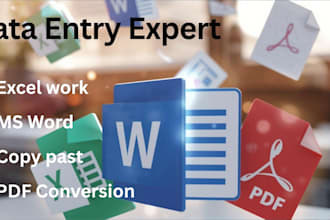 do fast typing from pdf to ms word and  english proofreading
