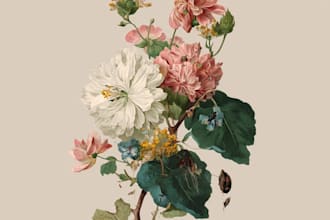 draw botanical illustration flower, plant