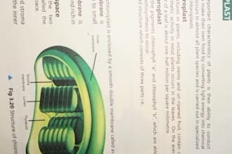provide handwritten fsc biology notes with diagrams