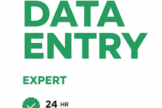 do excel data entery data cleaning and spreadsheet formating