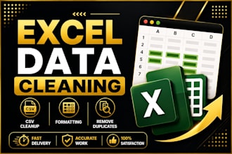 clean ,format and organise excel or CSV data professionally