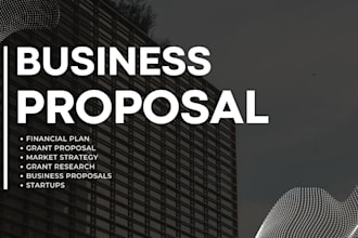 create a professional business financial plan for startup investor ready plan