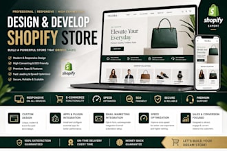 design or customize a professional shopify store
