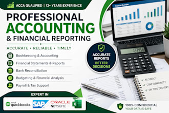manage your accounts and reports professionally