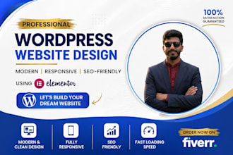 produce design or redesign professional wordpress website