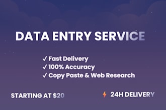 do accurate data entry, excel, copy paste and web research