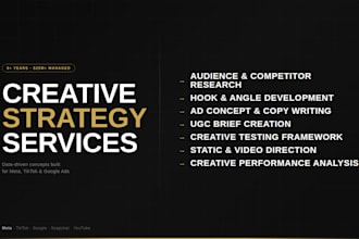 develop a creative strategy for meta, tiktok, and other paid social
