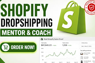 be shopify dropshipping coach shopify ecommerce mentor shopify store manager