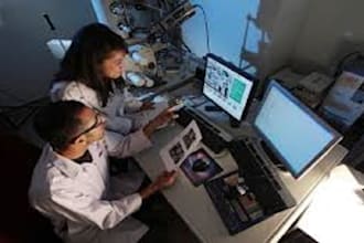 perform ethical online investigation and background research