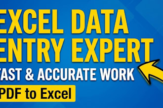 excel data automation and professional data entry specialist