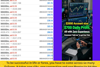 provide forex robot, trading robot forex bot for new traders