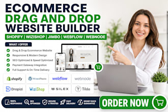 build dropizi wizishop jimbo shopify website design ecommerce website design