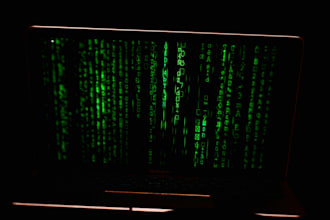do osint private investigator, background checks, IP tracing and location track