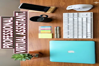 be your virtual assistant for data entry and admin support